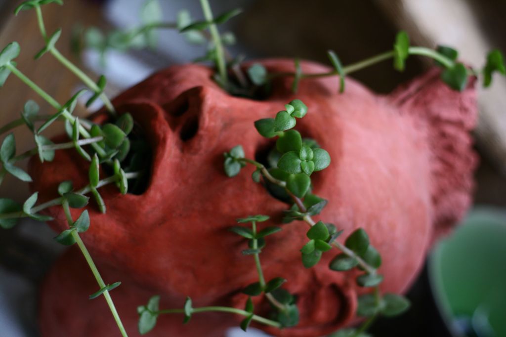 Still Life (2017-2019)