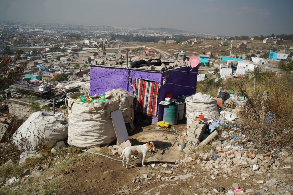 Paisaje Neoliberal (2019)